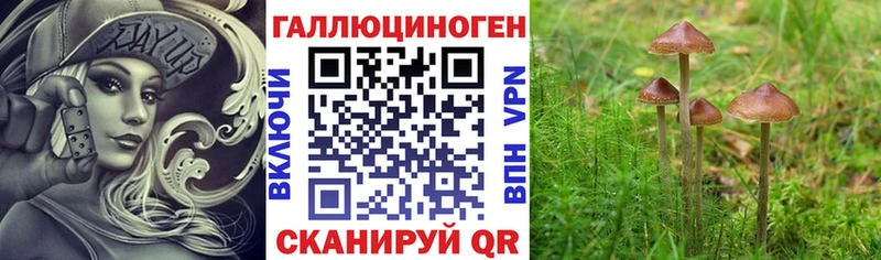 Галлюциногенные грибы Magic Shrooms  купить наркотик  Будённовск 